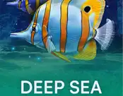 Deep Sea Fortune