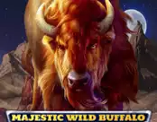 Majestic Wild Buffalo – Dusk Till Dawn