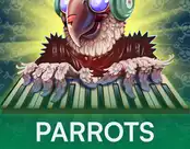 Parrots Rock