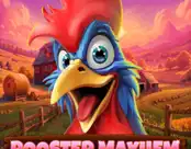 Rooster Mayhem