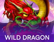 Wild Dragon Riches