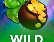 Wild Patrick’s Day
