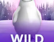 Wild Penguin