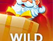 Wild Santa 3
