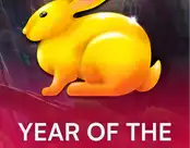 Year Of The Rabbit