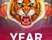 Year Of The Tiger