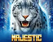 Majestic White Leopard