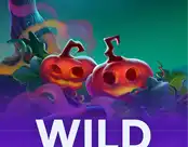 Wild Pumpkins