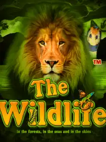 The Wildlife