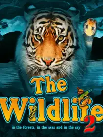 The Wildlife 2