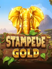 Stampede Gold