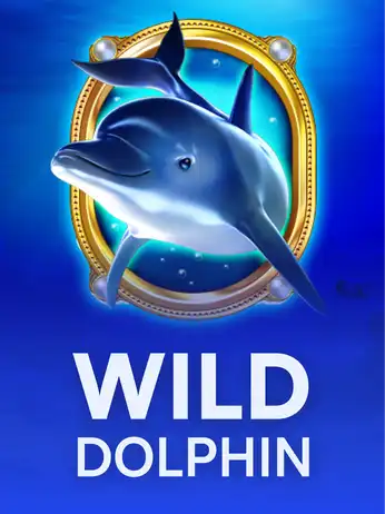 Wild Dolphin