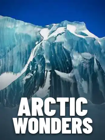 Arctic Wonders