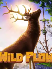 Wild Flow