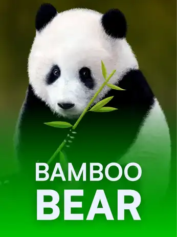 Bamboo Bear