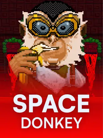 Space Donkey