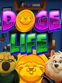 Doge Life