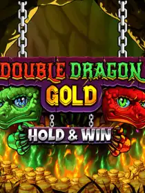 Double Dragon Gold: Hold & Win