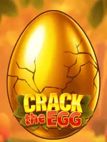 Crack the Egg
