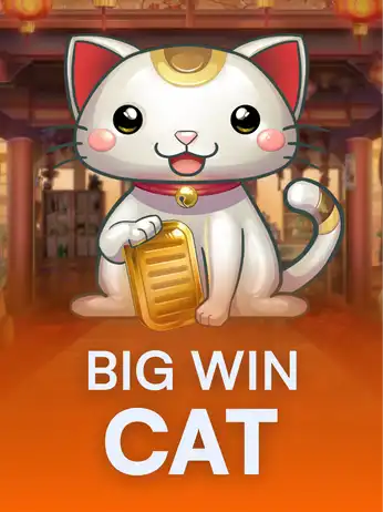 Big Win Cat