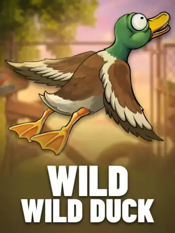 Wild Wild Duck