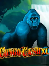 Congo Cash XL