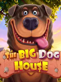The Big Dog House