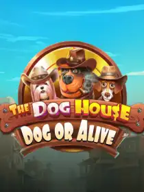 The Dog House - Dog or Alive