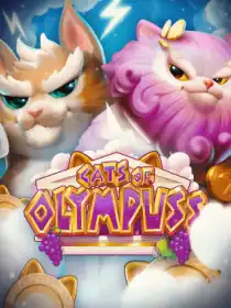 Cats of Olympuss