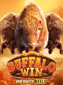 Buffalo Win
