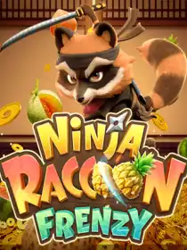 Ninja Raccoon Frenzy