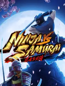 Ninja vs Samurai