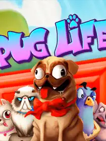 Pug Life