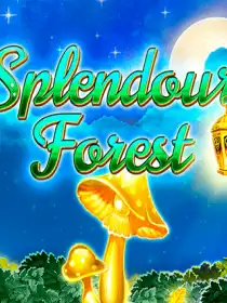 Splendour Forest
