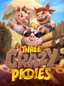 Three Crazy Piggies