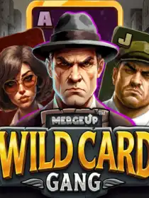 Wild Card Gang
