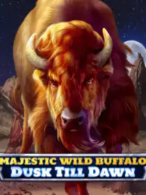 Majestic Wild Buffalo - Dusk Till Dawn