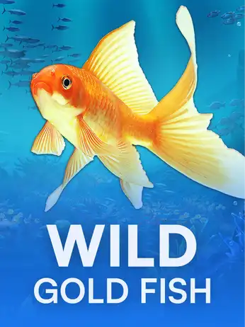 Wild Gold Fish