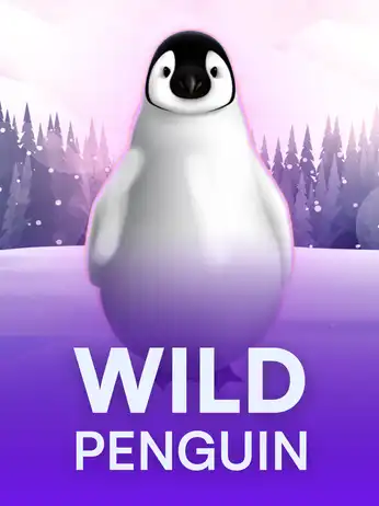 Wild Penguin