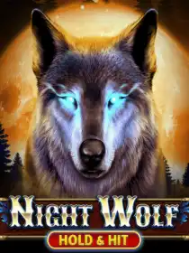 Night Wolf - Hold & Hit