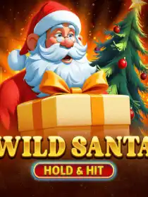 Wild Santa - Hold & Hit