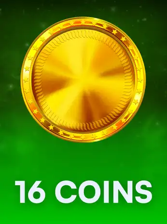 16 Coins