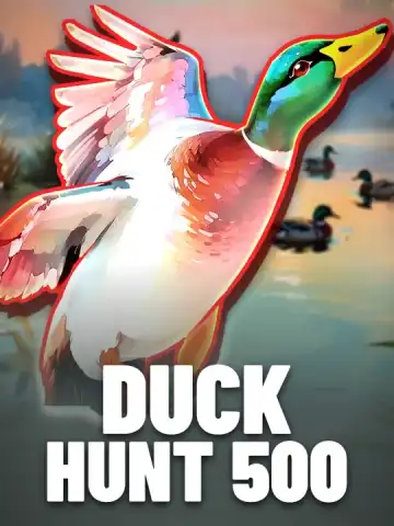Duck Hunt 500