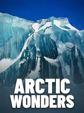 Arctic Wonders