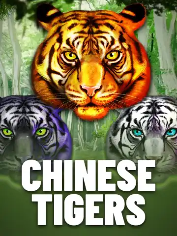 Chinese Tigers