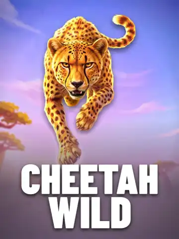 Cheetah Wild