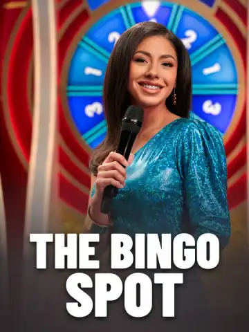 The Bingo Spot