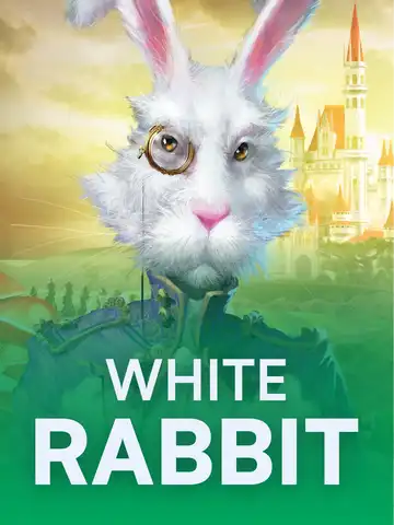 White Rabbit