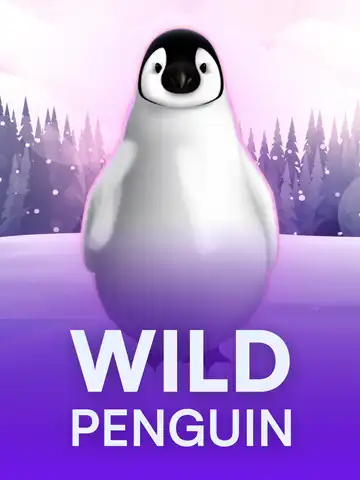 Wild Penguin