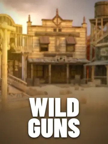 Wild Guns